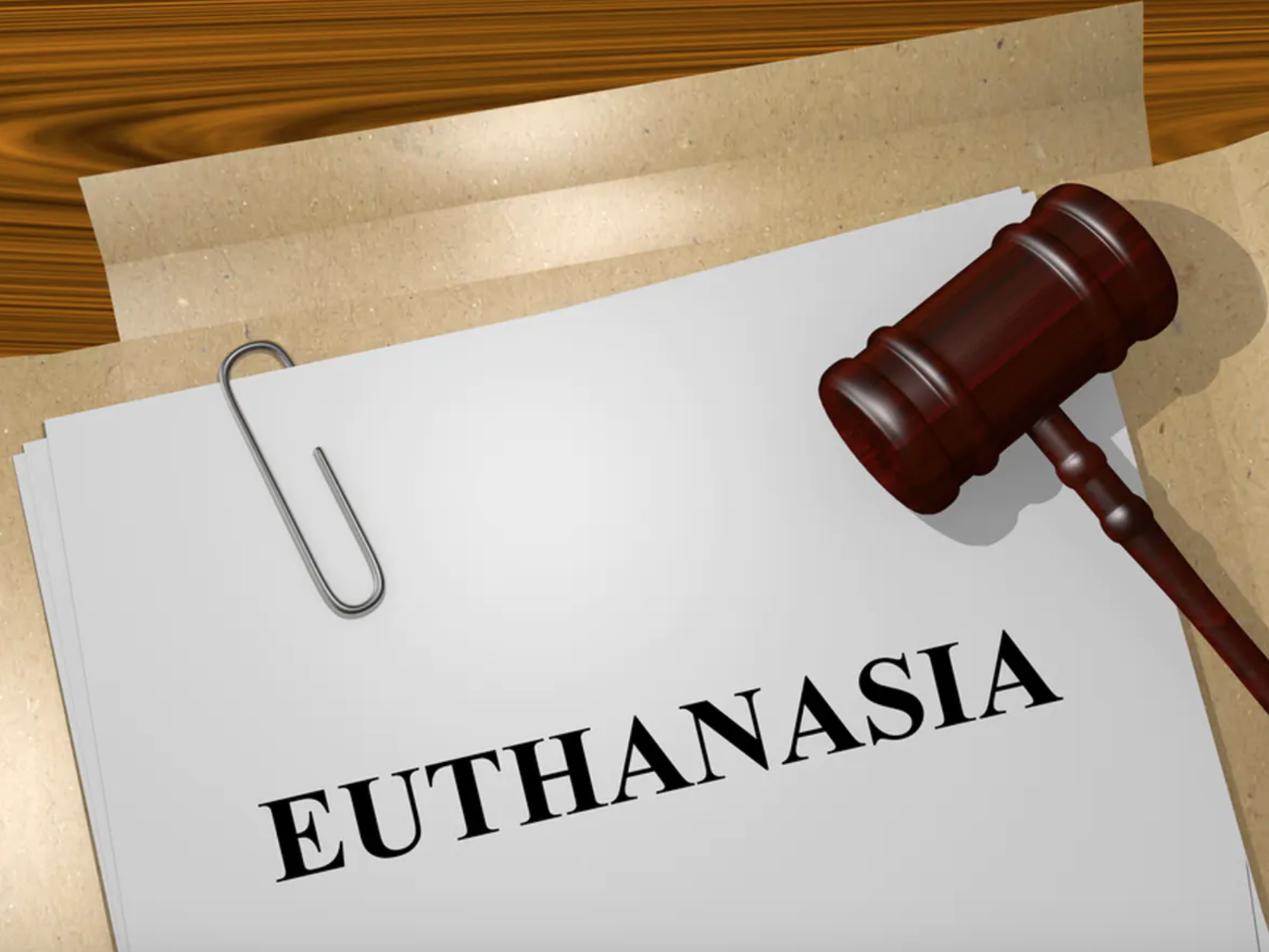 Regno Unito. Stop alla legge sull’eutanasia 1